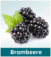 Brombeere